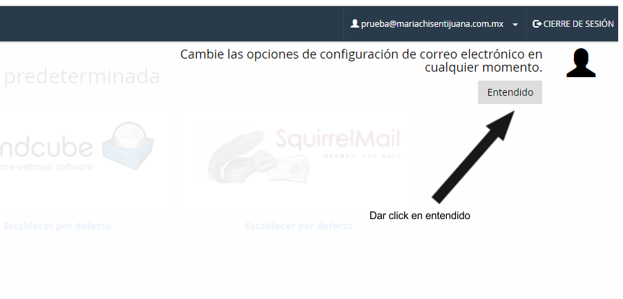 COMO CONSULTAR SU CORREO ELECTRONICO MEDIANTE LA APLICACIÓN WEBMAIL - DISEÑO DE PAGINAS WEB EN CDMX