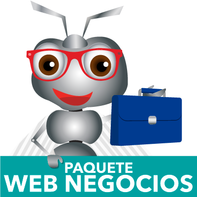 PAGINAS WEB PROFESIONALES EN CDMX